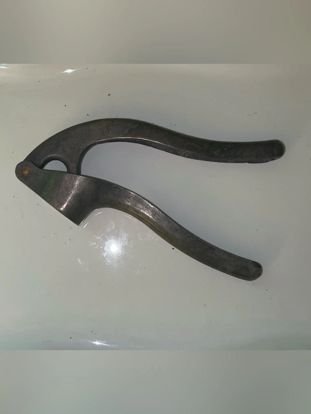 Italian cast aluminum garlic press